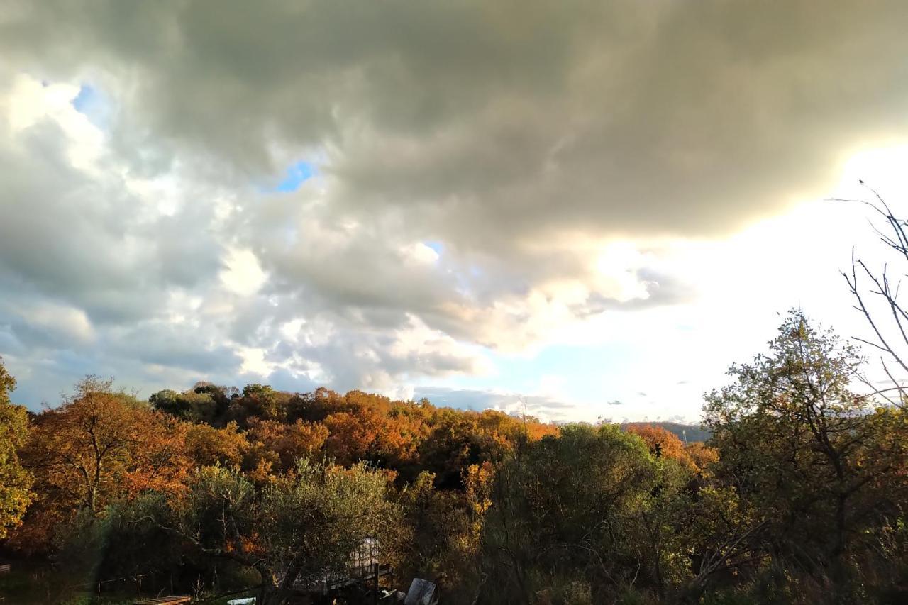 Agriturismo Tenuta Monte La Guardia Castel Giuliano Zewnętrze zdjęcie