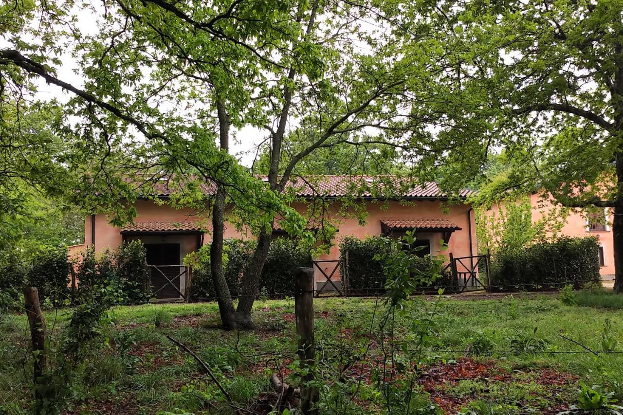 Agriturismo Tenuta Monte La Guardia Castel Giuliano Zewnętrze zdjęcie